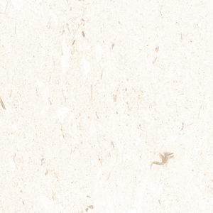 Indian Misr White - 600X900 mm (20mm)