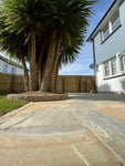Indian York Sandstone-600X900 (22mm)