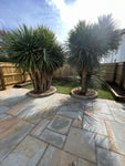 Indian York Sandstone-600X900 (22mm)